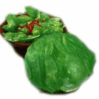 Lettuce